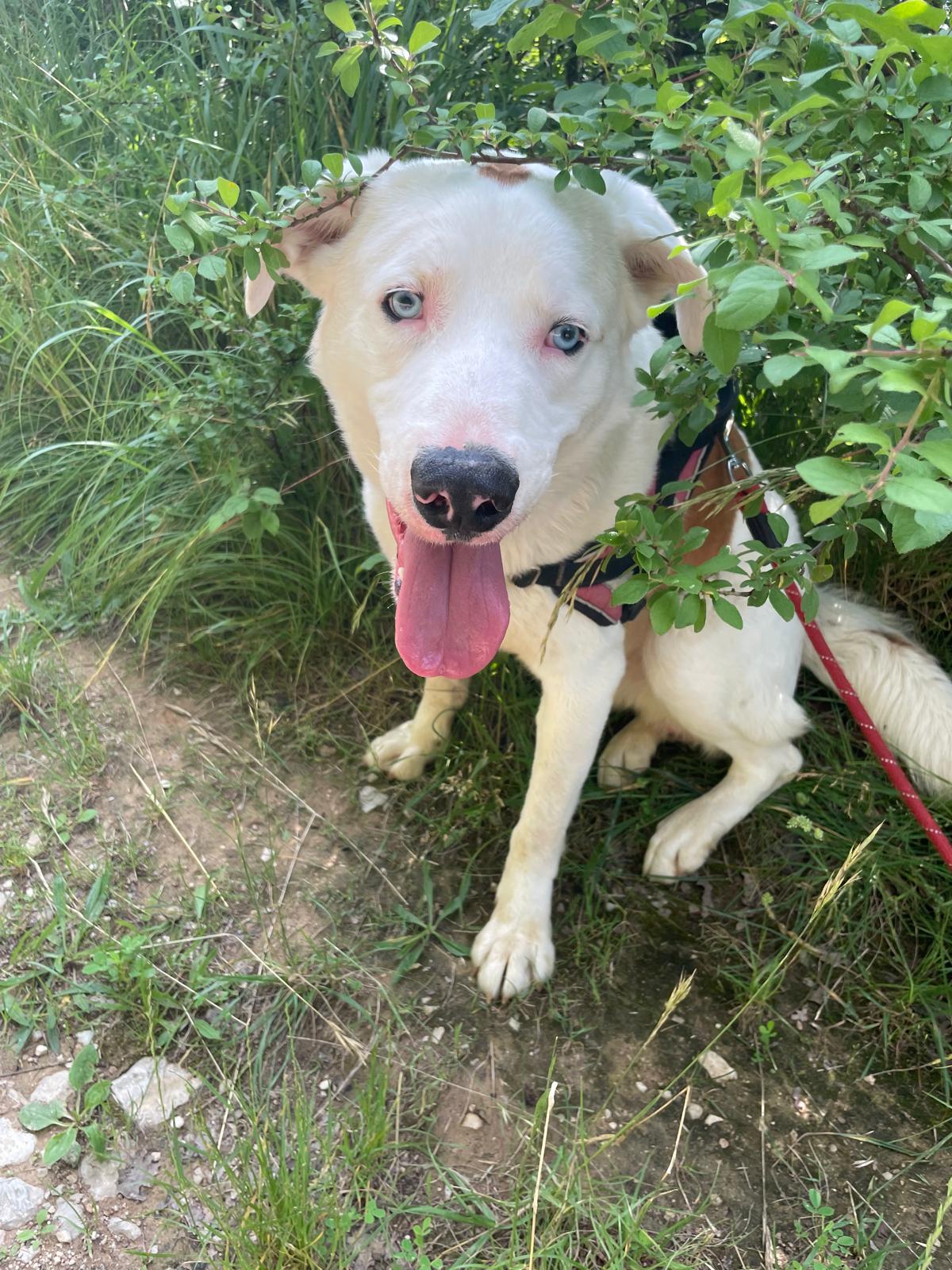 Whatsapp image 2025 06 08 at 17 20 35