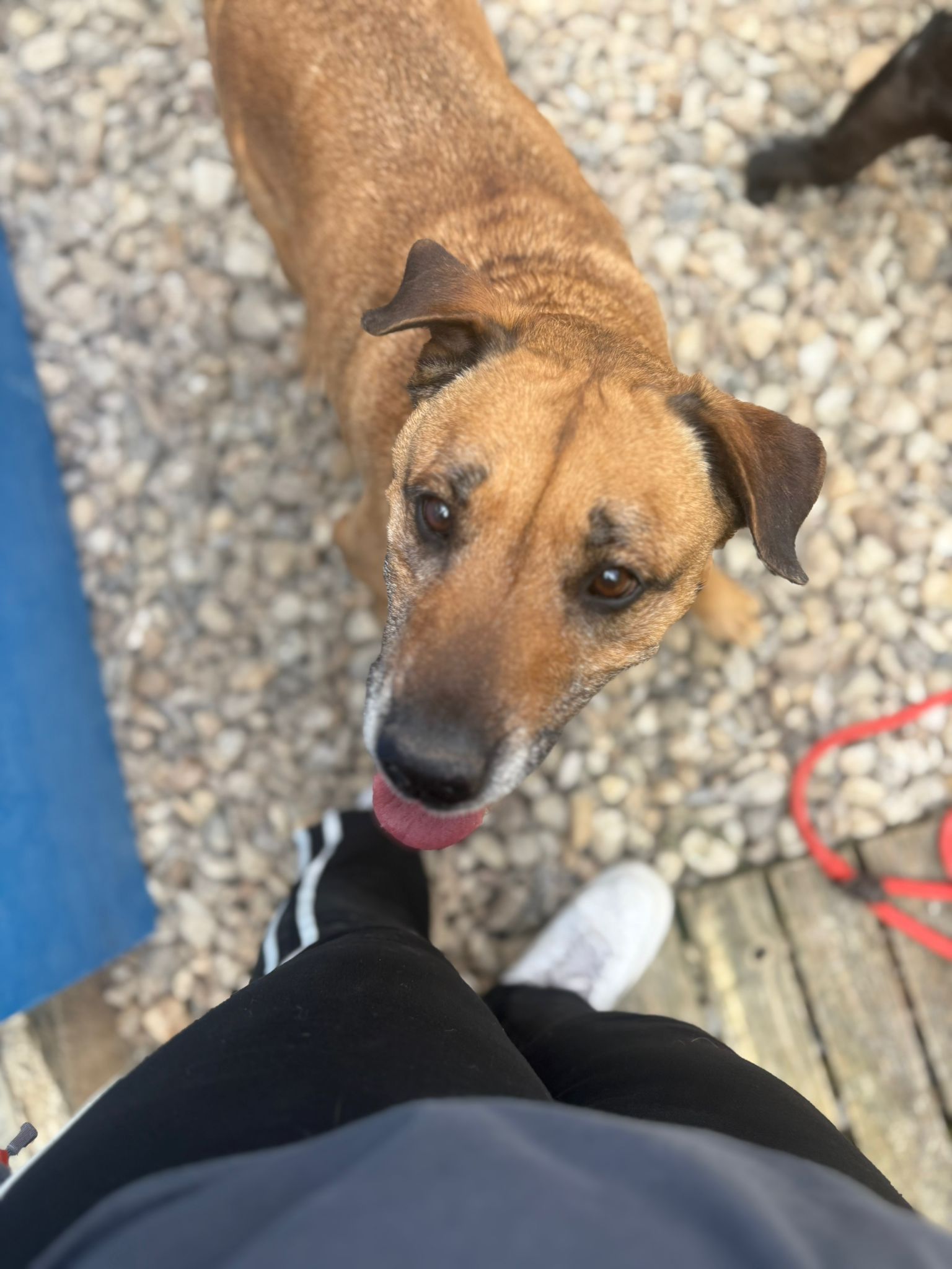 Whatsapp image 2025 05 07 at 03 44 26 1 