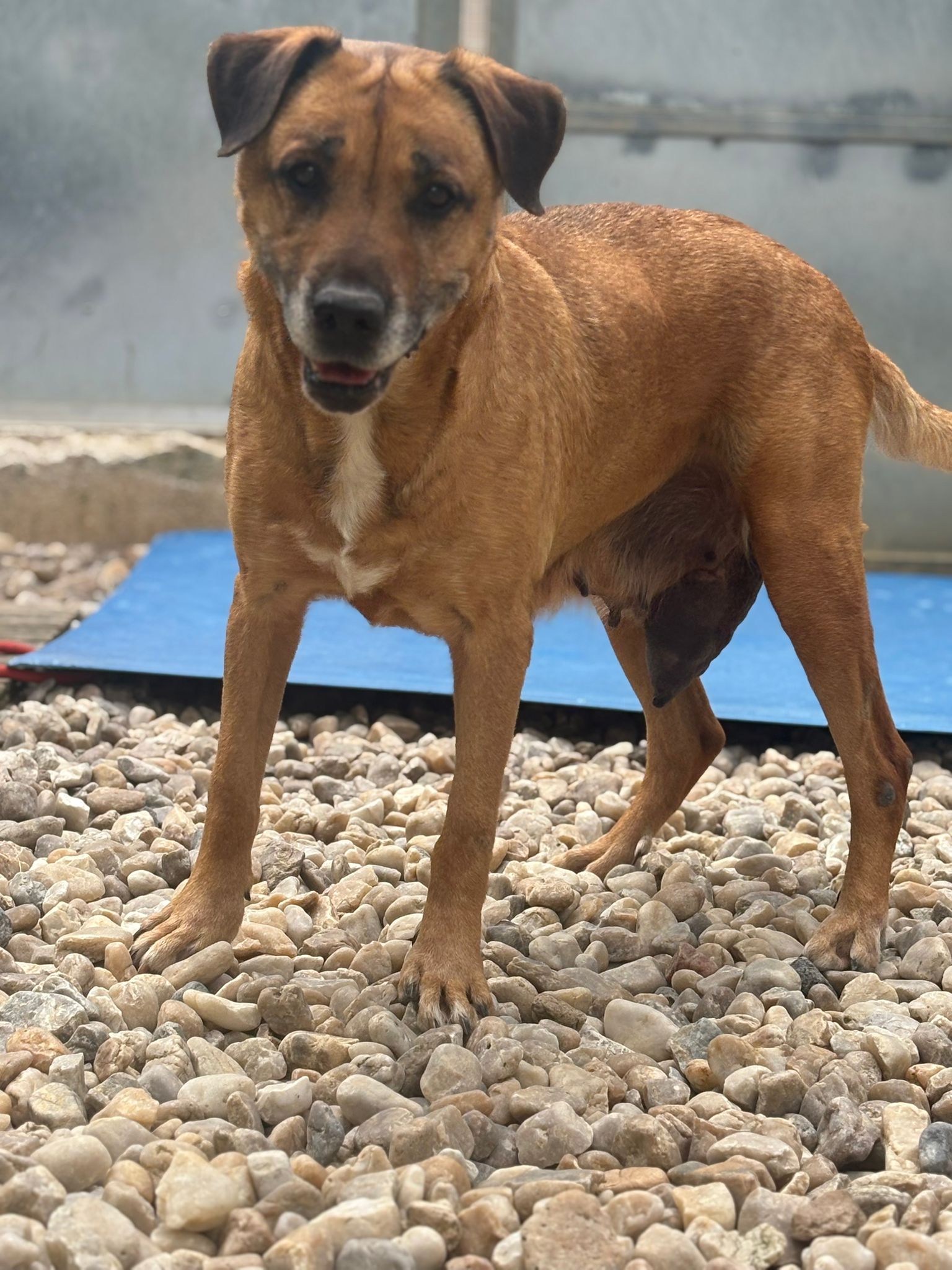 Whatsapp image 2025 05 07 at 03 44 25 4 