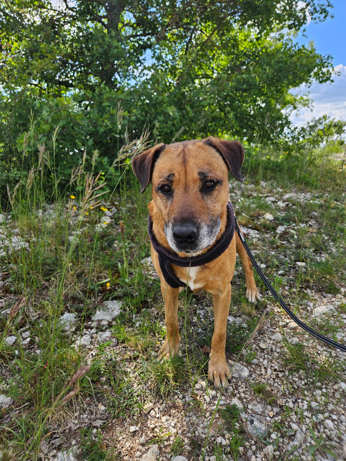 Whatsapp image 2025 05 10 at 18 35 32