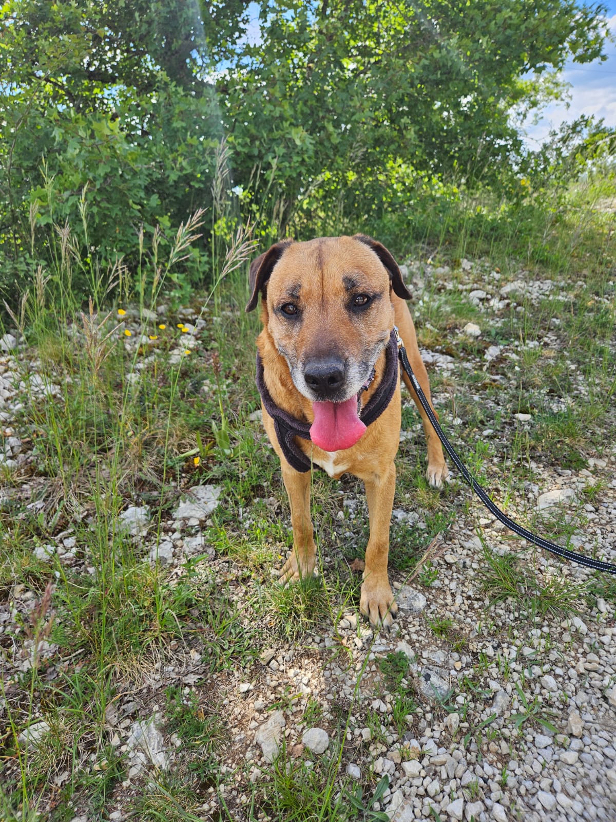 Whatsapp image 2025 05 10 at 18 35 32 1 