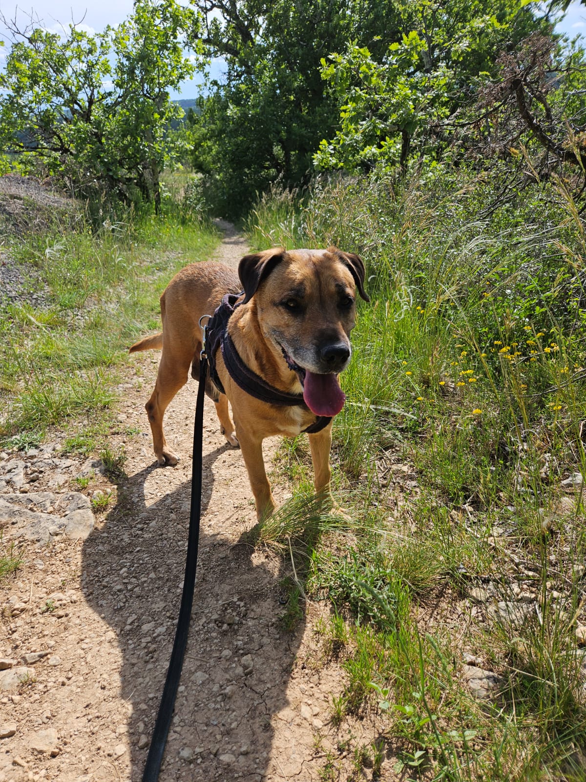 Whatsapp image 2025 05 10 at 18 35 31