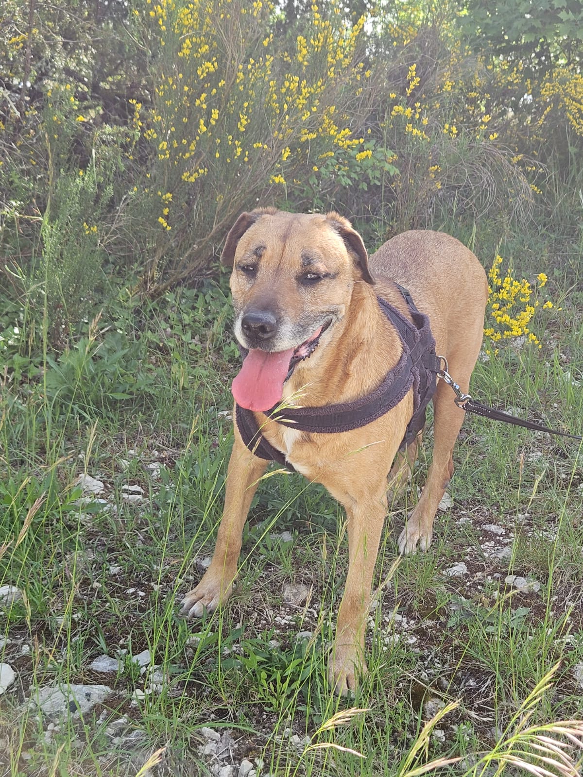 Whatsapp image 2025 05 10 at 18 35 31 2 