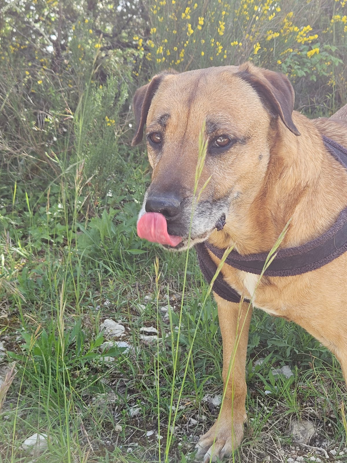 Whatsapp image 2025 05 10 at 18 35 31 1 