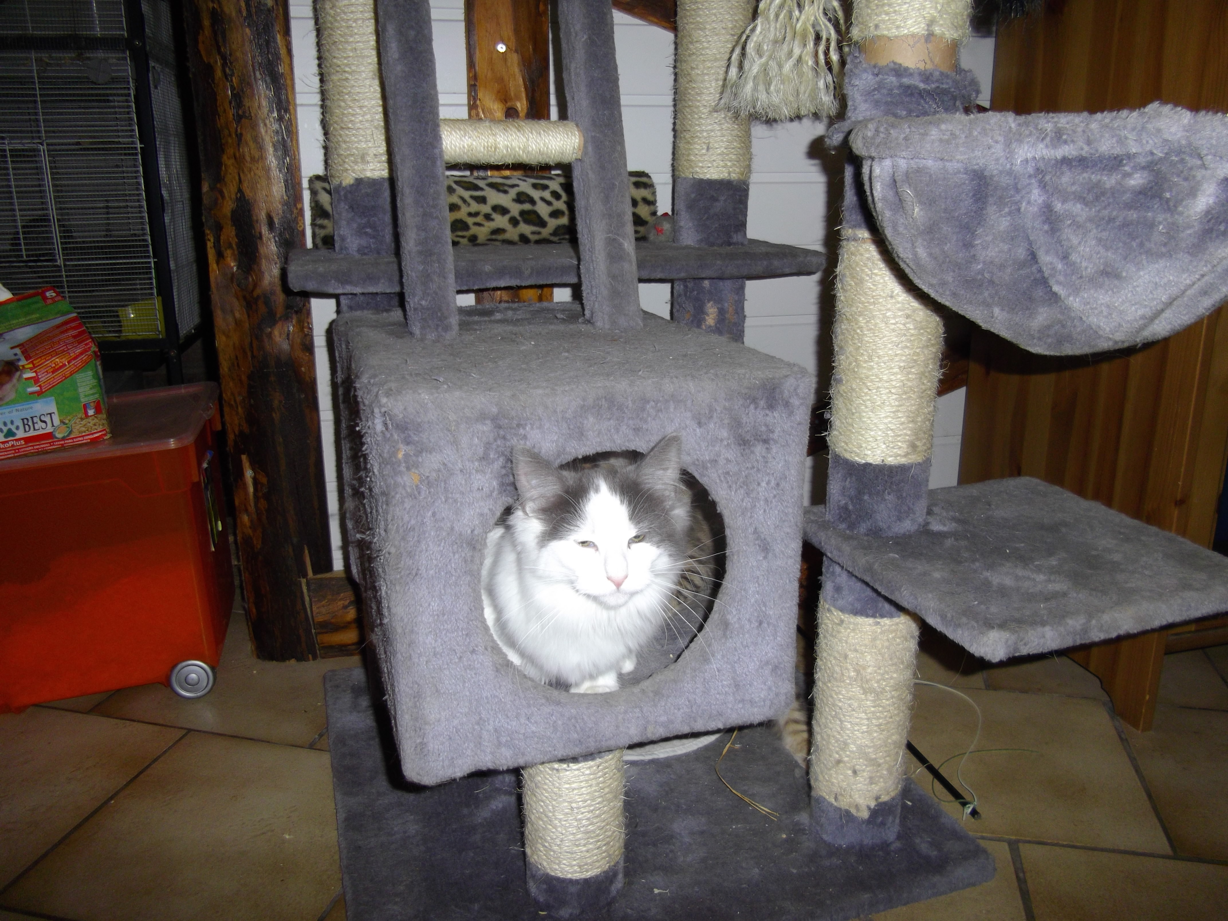 Imgp0606