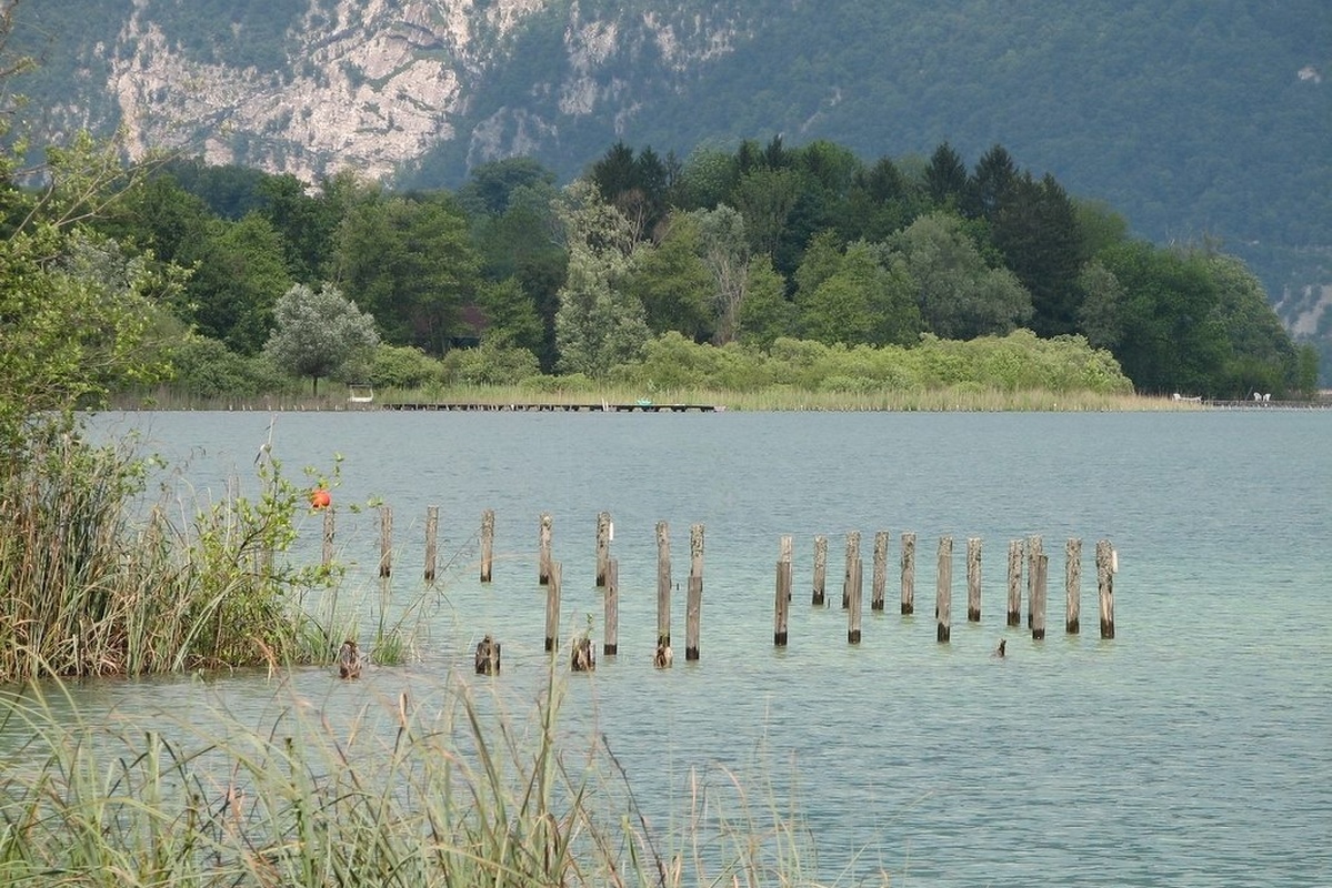 Les roselieres du lac