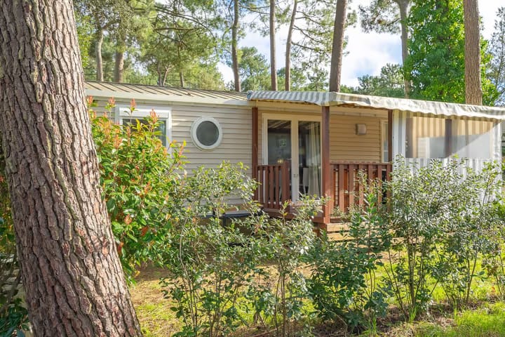 Whatsapp image 2026 03 09 at 16 22 18