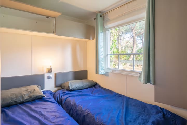 Whatsapp image 2026 03 09 at 16 22 18 3 