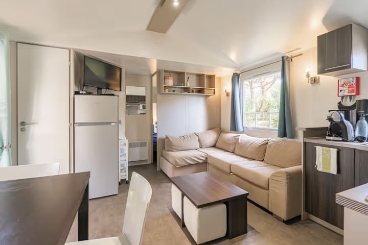 Whatsapp image 2026 03 09 at 16 22 18 1 