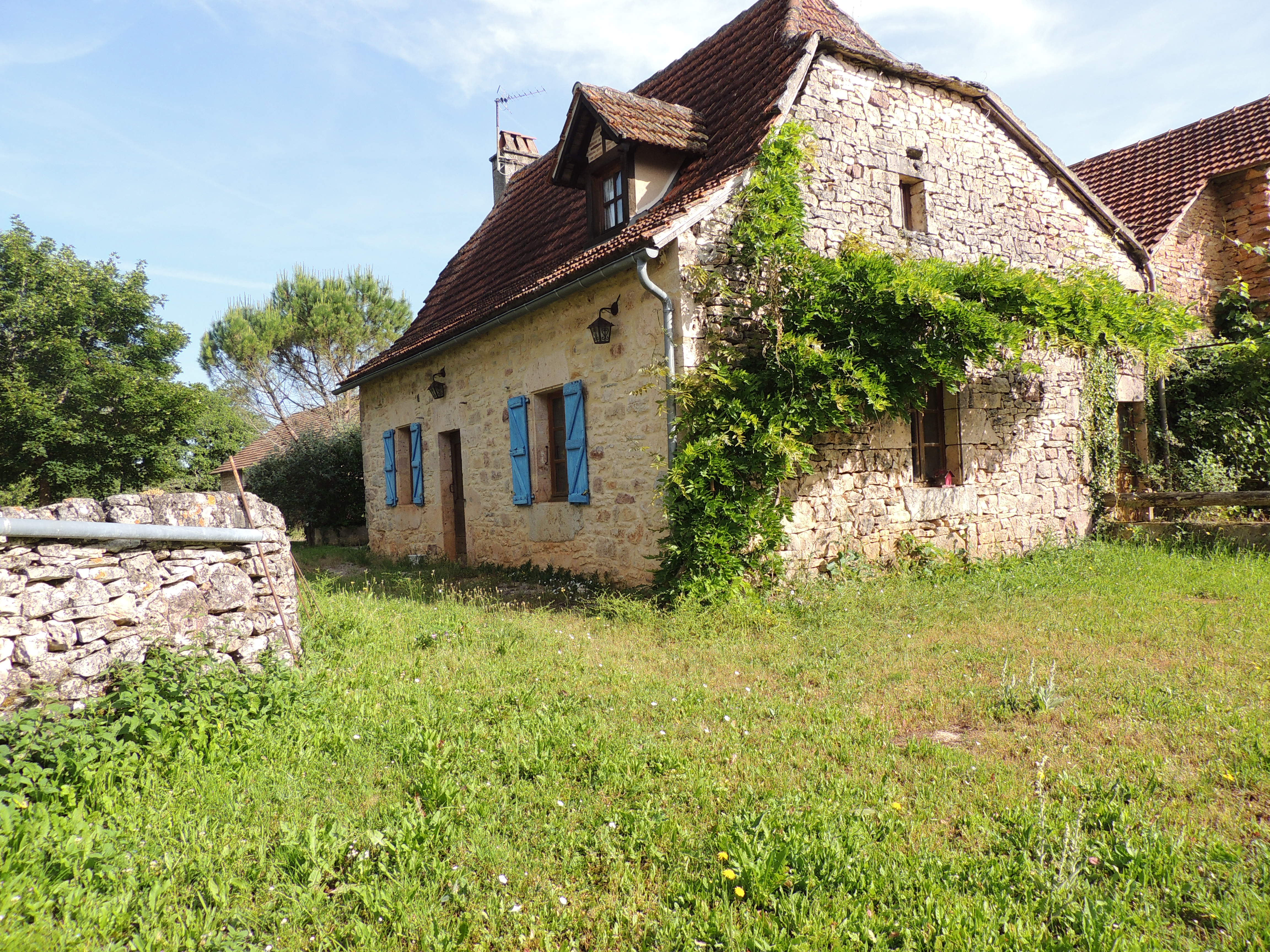 DSCN1962