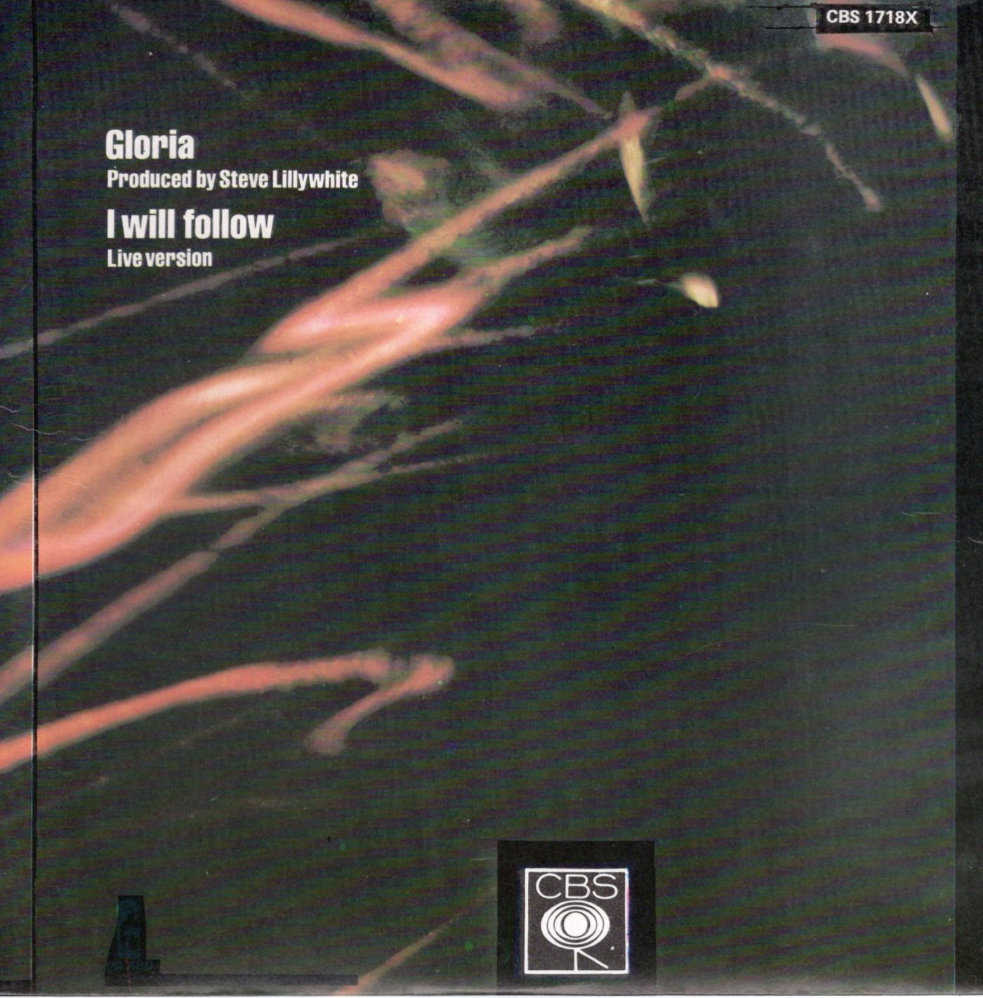 Ir gloria cbsa 1718 back 2