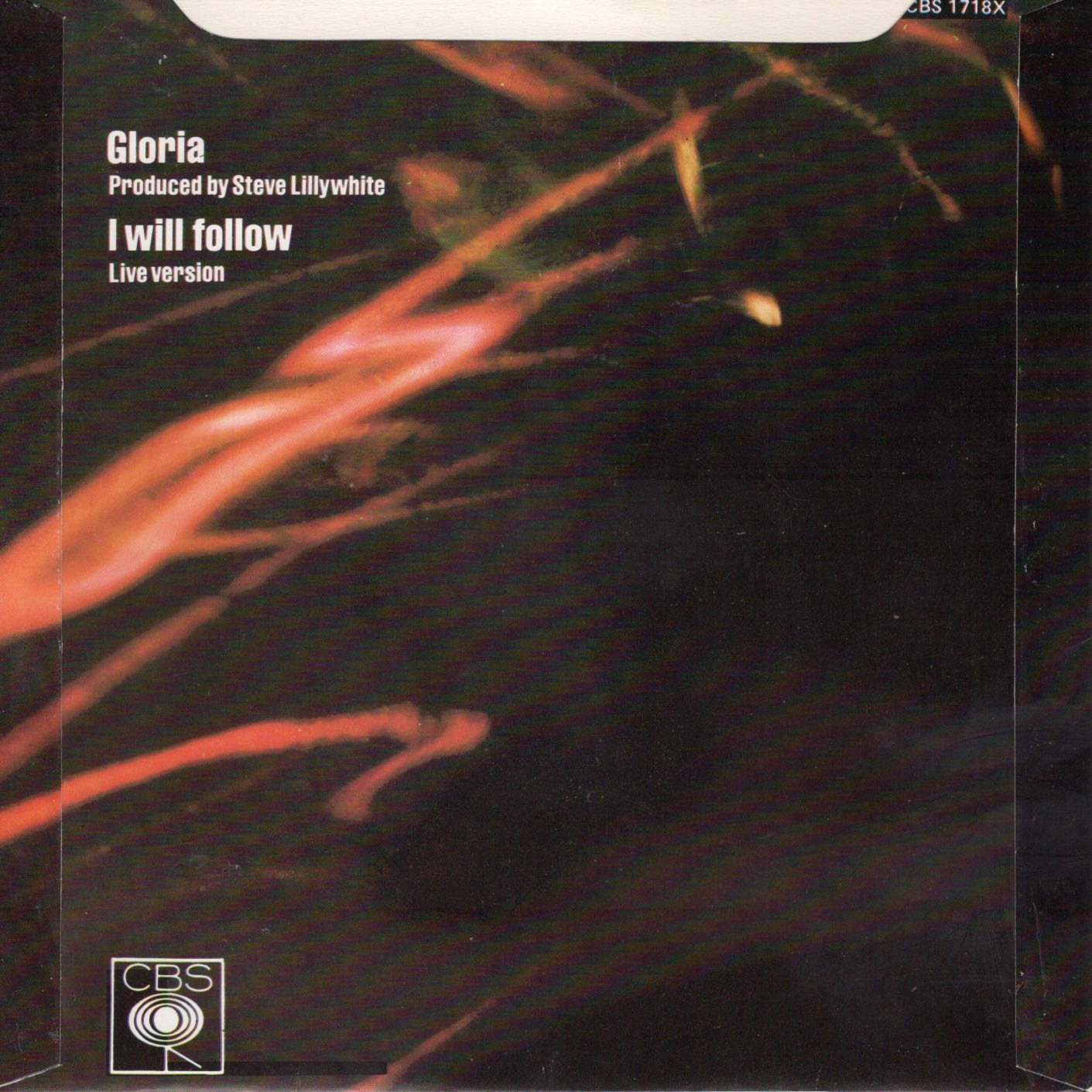 Ir gloria cbsa 1718 back 1