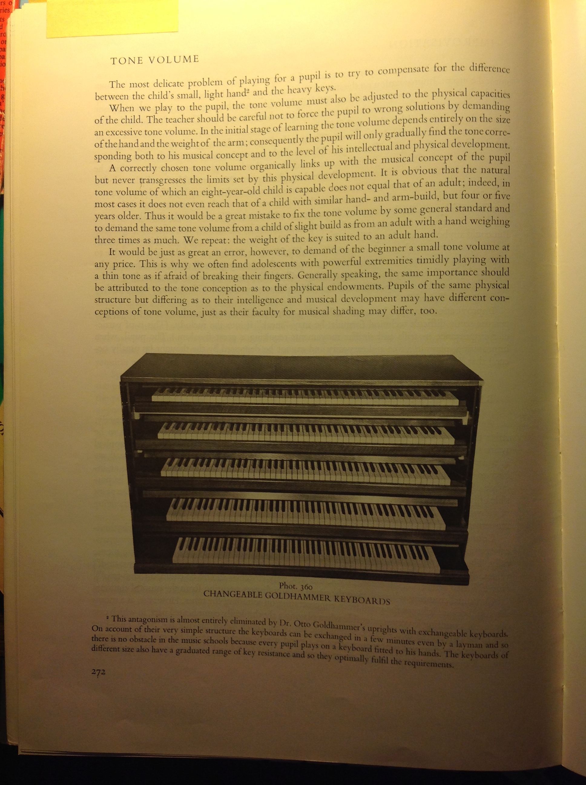 Goldhammer 2