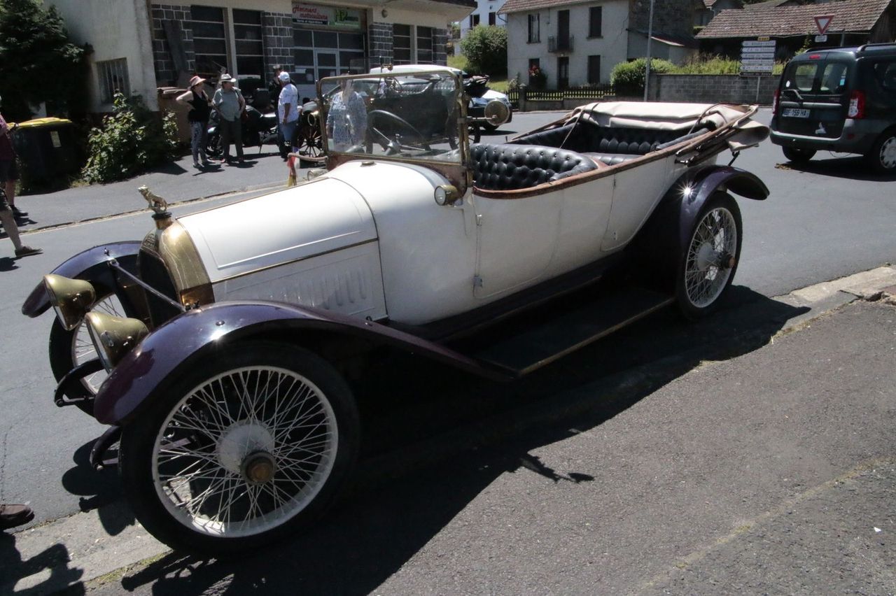  mg 0310