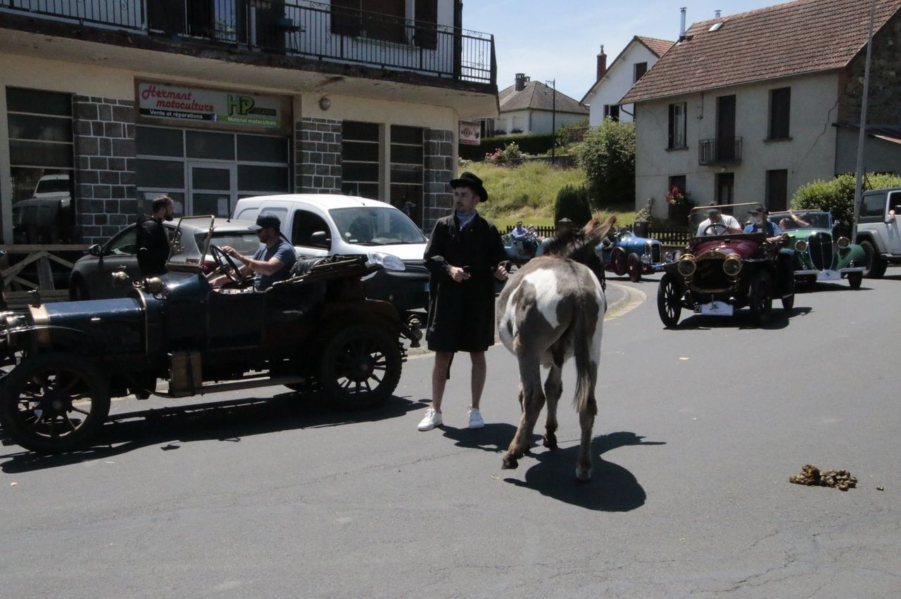  mg 0298