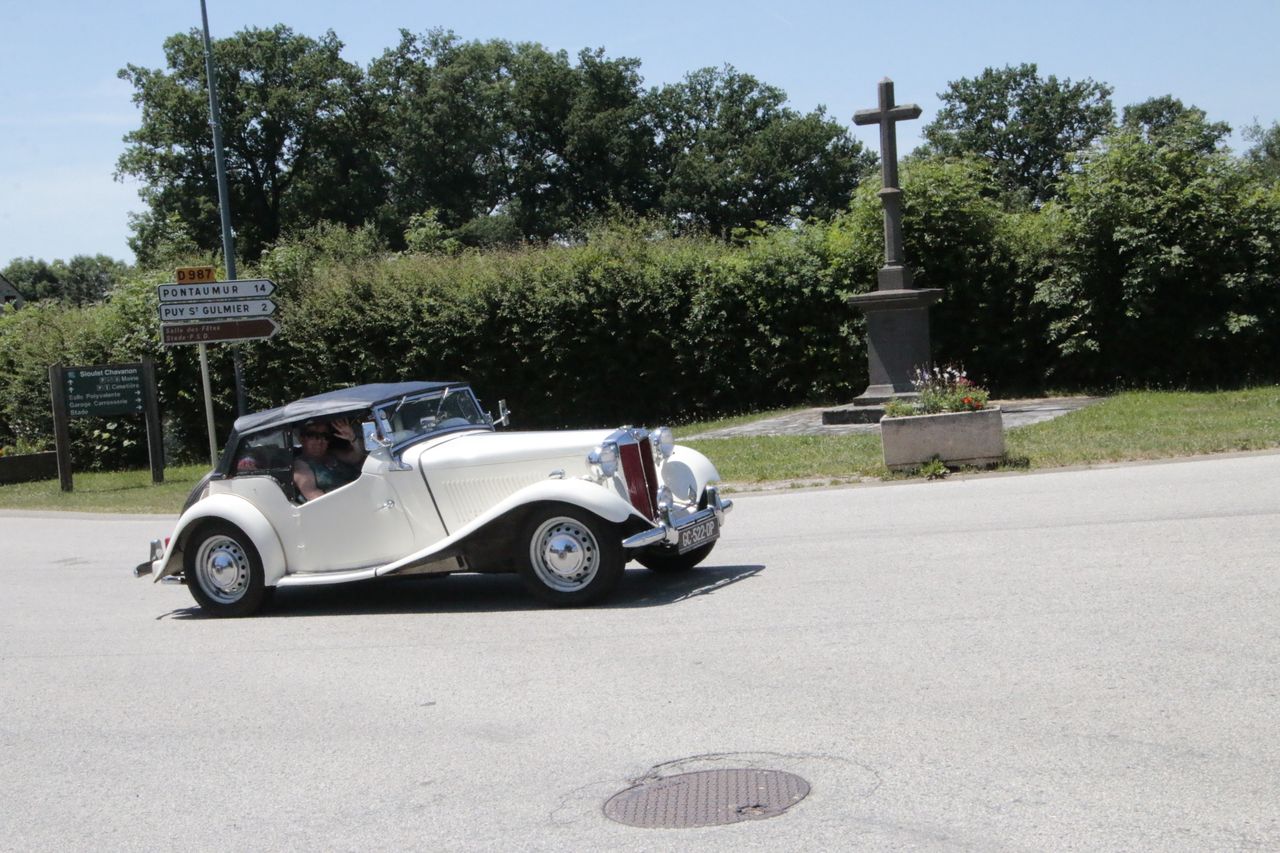  mg 0008