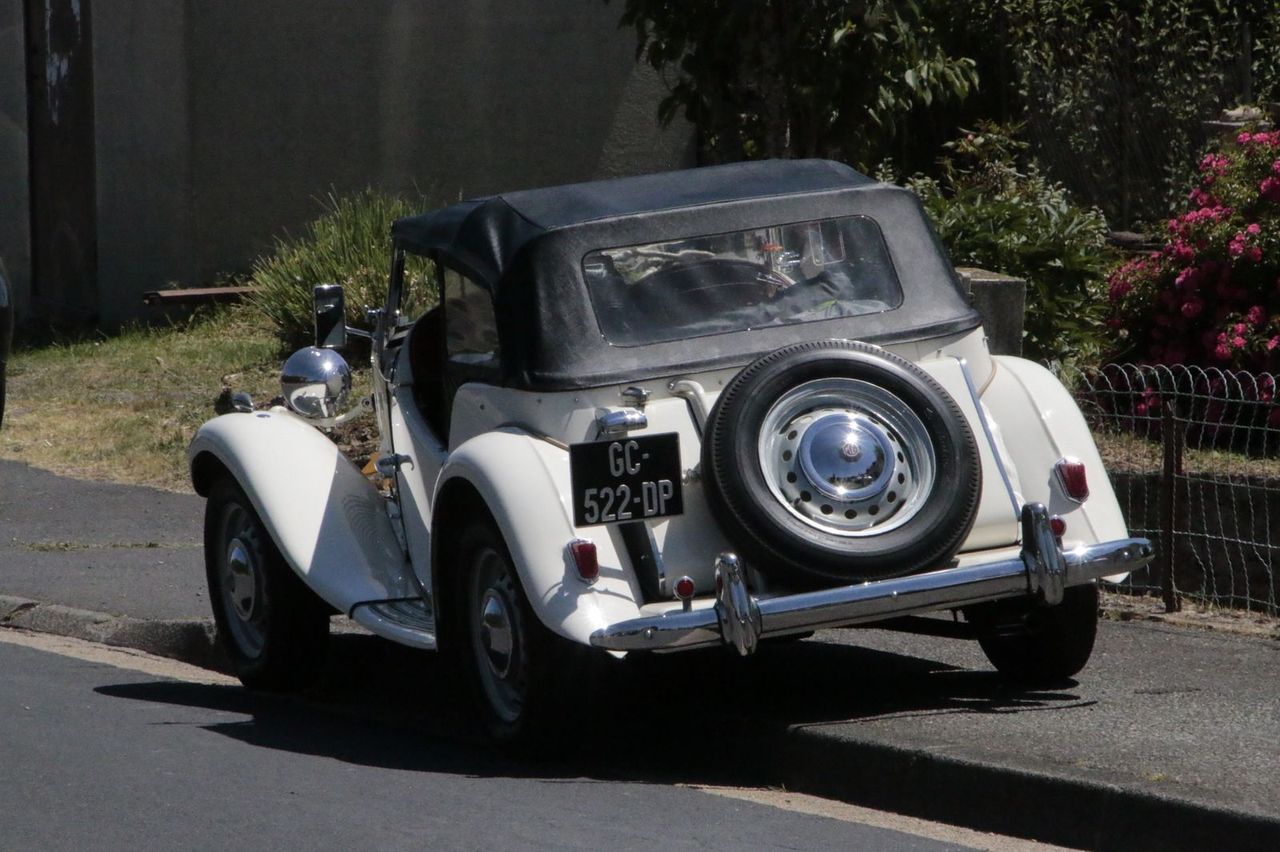  mg 0301