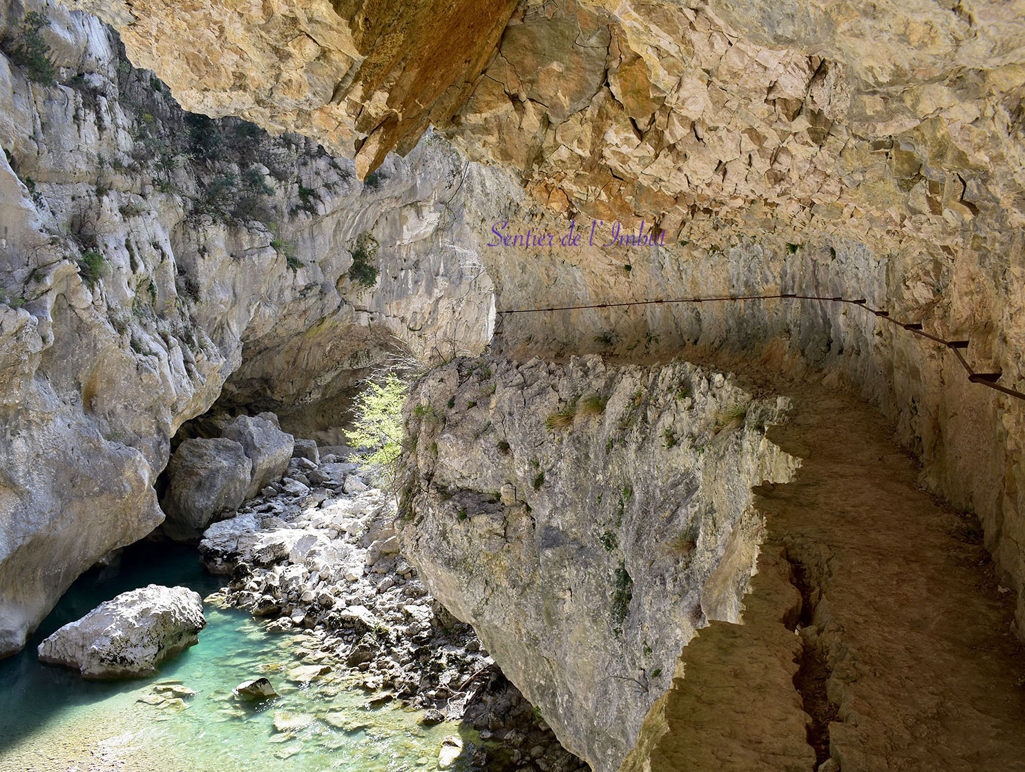 01 rando verdo l imbut vidal coq c