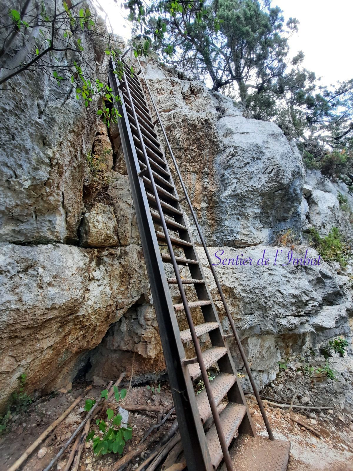 Image 3015165 20200924 ob 6faea8 20200913 160423