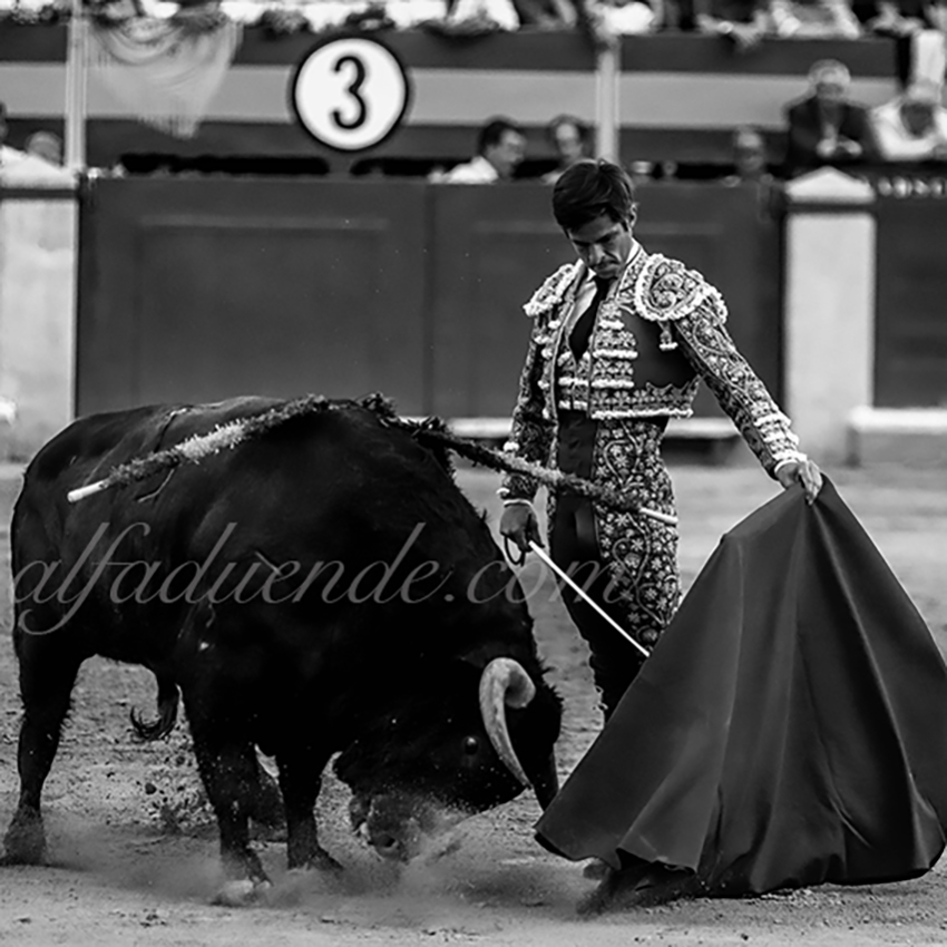 Img 5972 copie granada 20190621 20