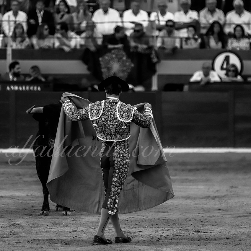 Img 5507 copie granada 20190621 18