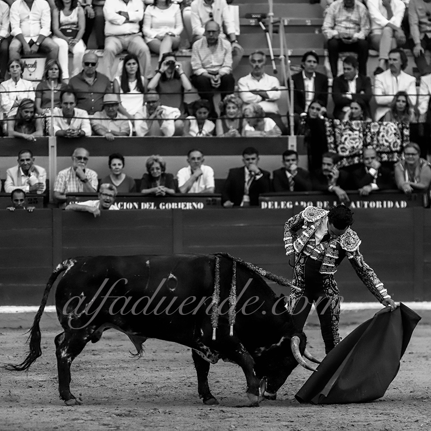 Img 5313 copie granada 20190620 10