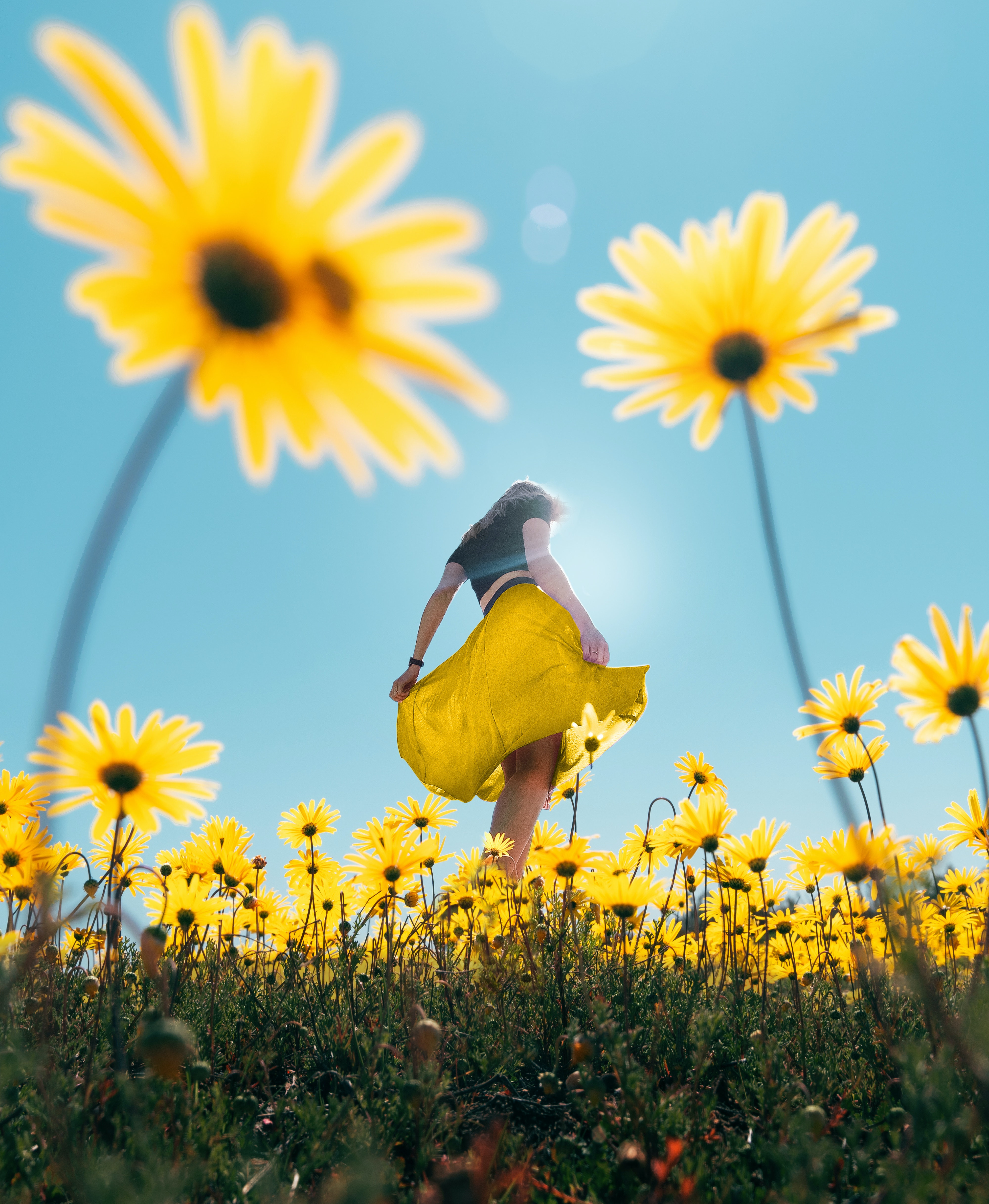 Femme-dans-les-fleurs-moins-haut