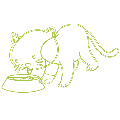Picto-chat