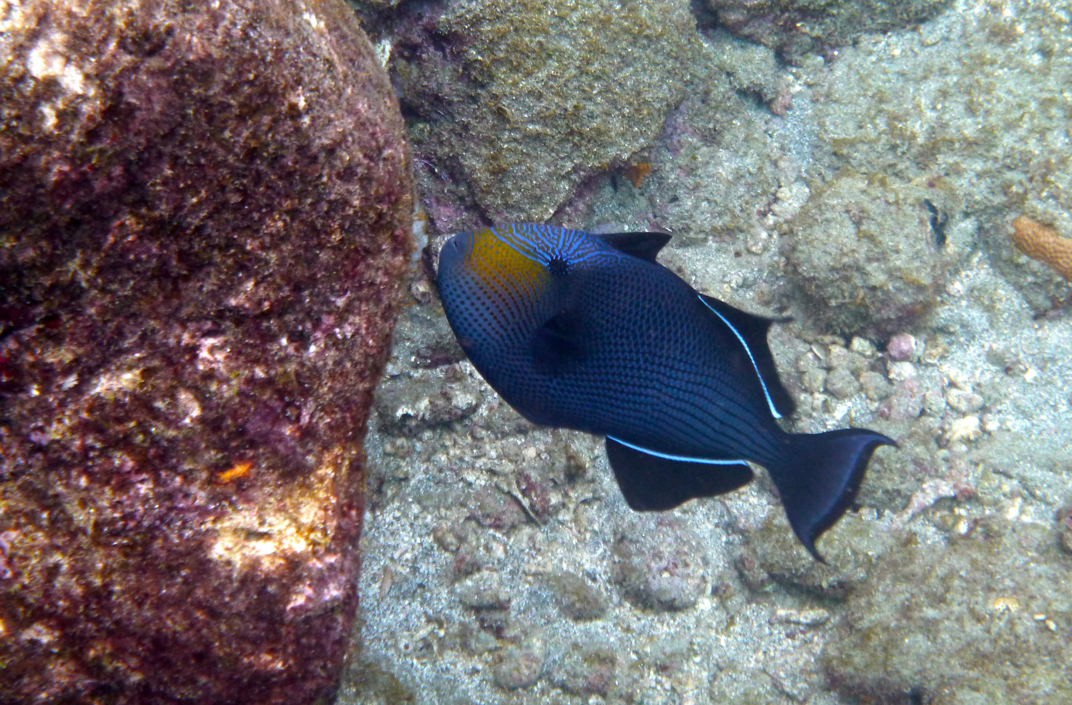 P1030129