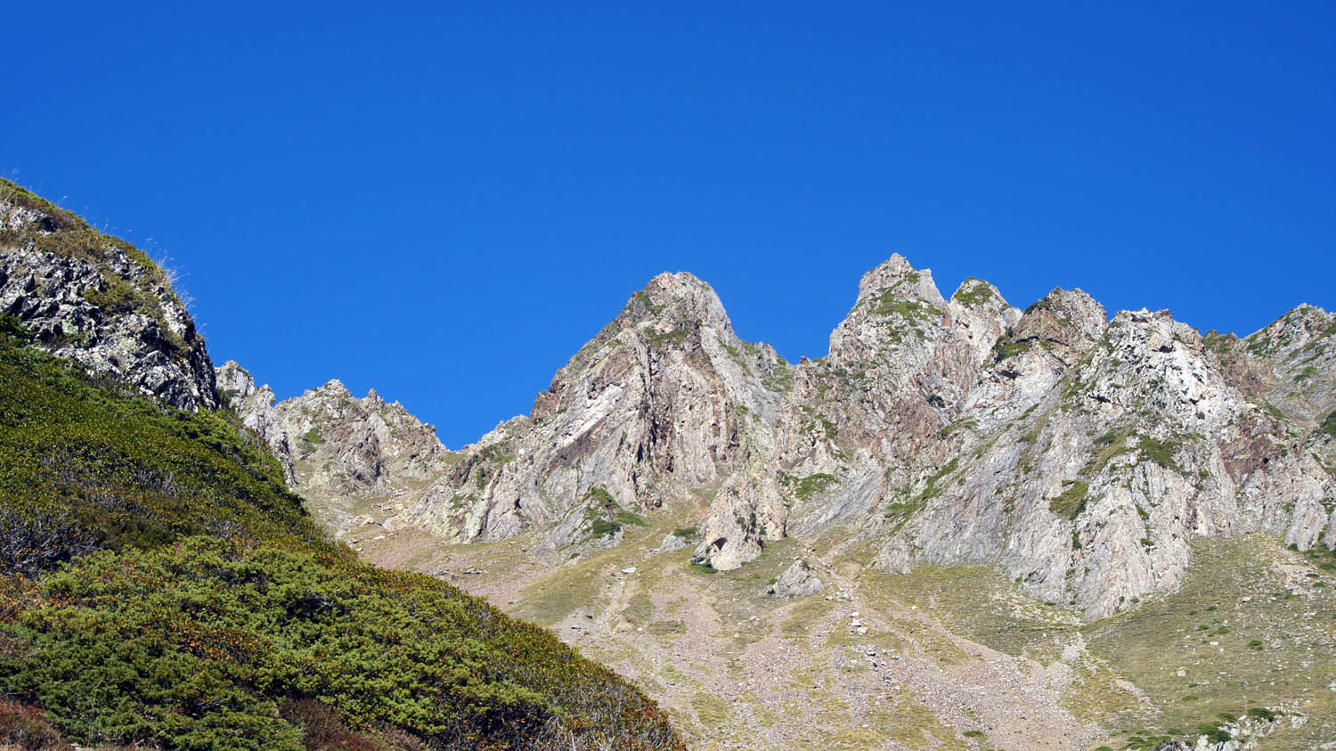 A15