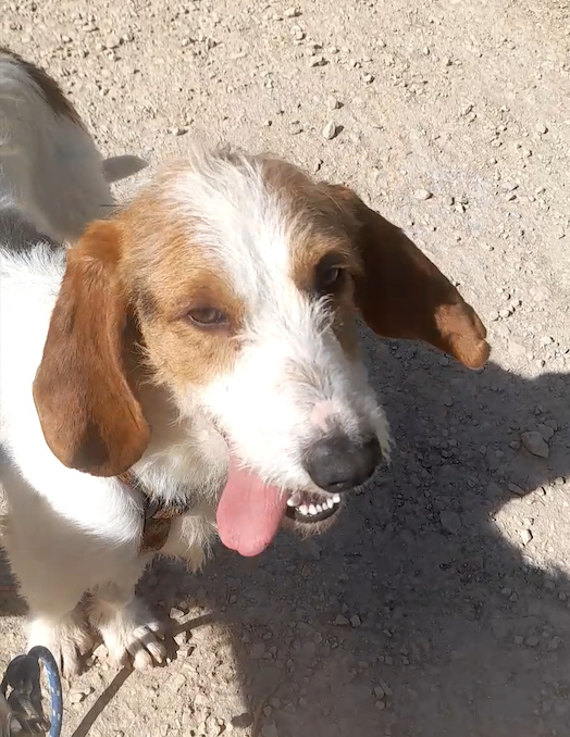 Capture d ecran 2025 03 07 a 10 18 46