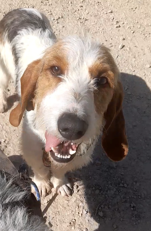 Capture d ecran 2025 03 07 a 10 18 39