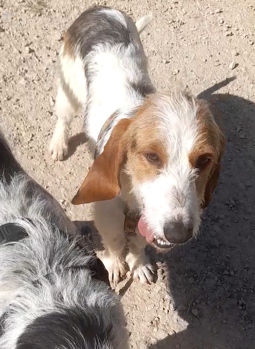 Capture d ecran 2025 03 07 a 10 18 33