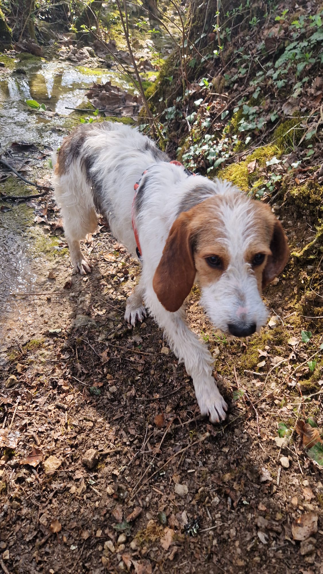 Whatsapp image 2025 04 09 at 19 17 00