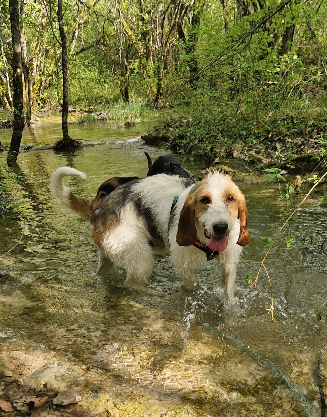 Whatsapp image 2025 04 27 at 18 40 37 1 