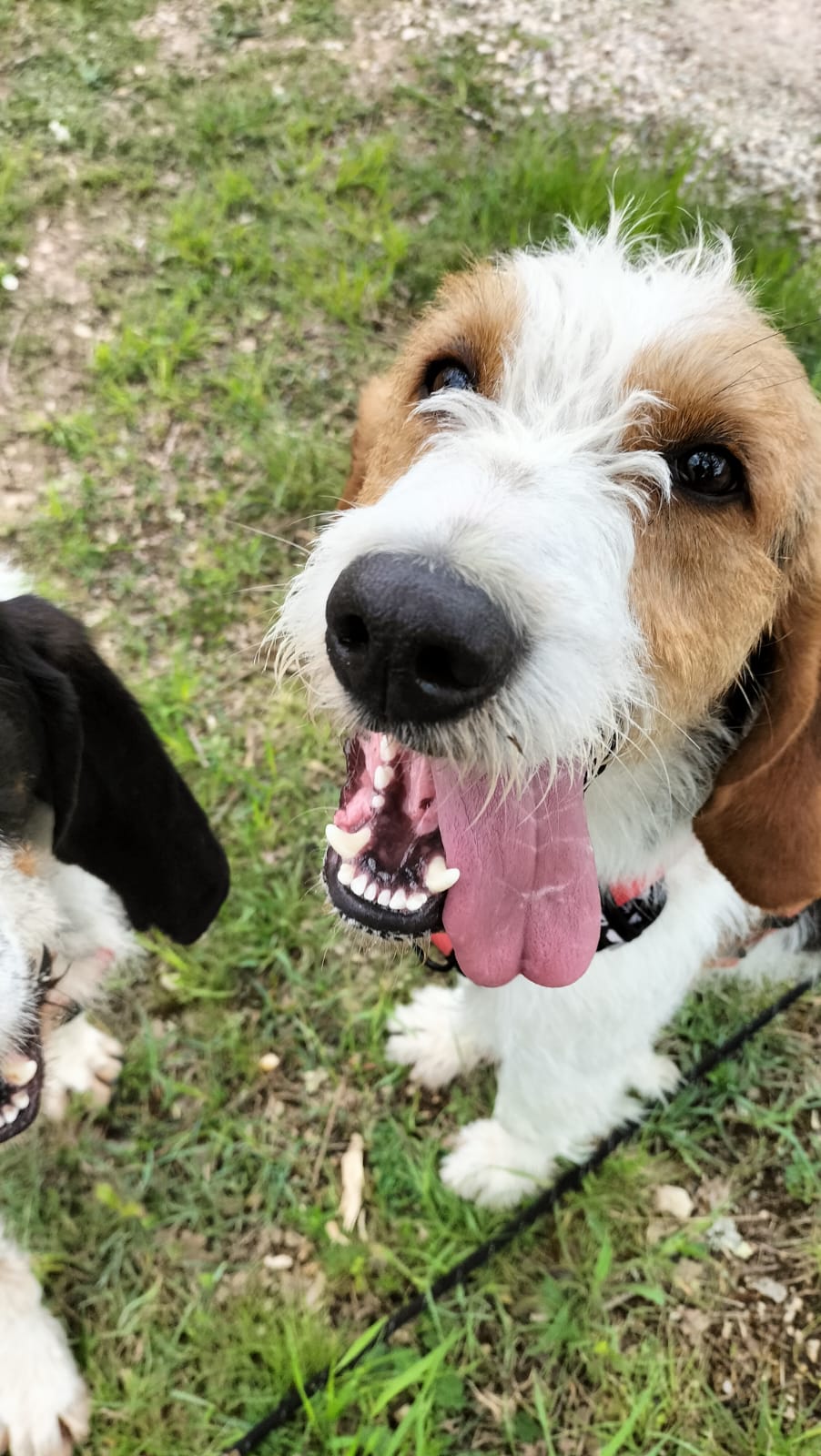 Whatsapp image 2025 04 20 at 18 41 36