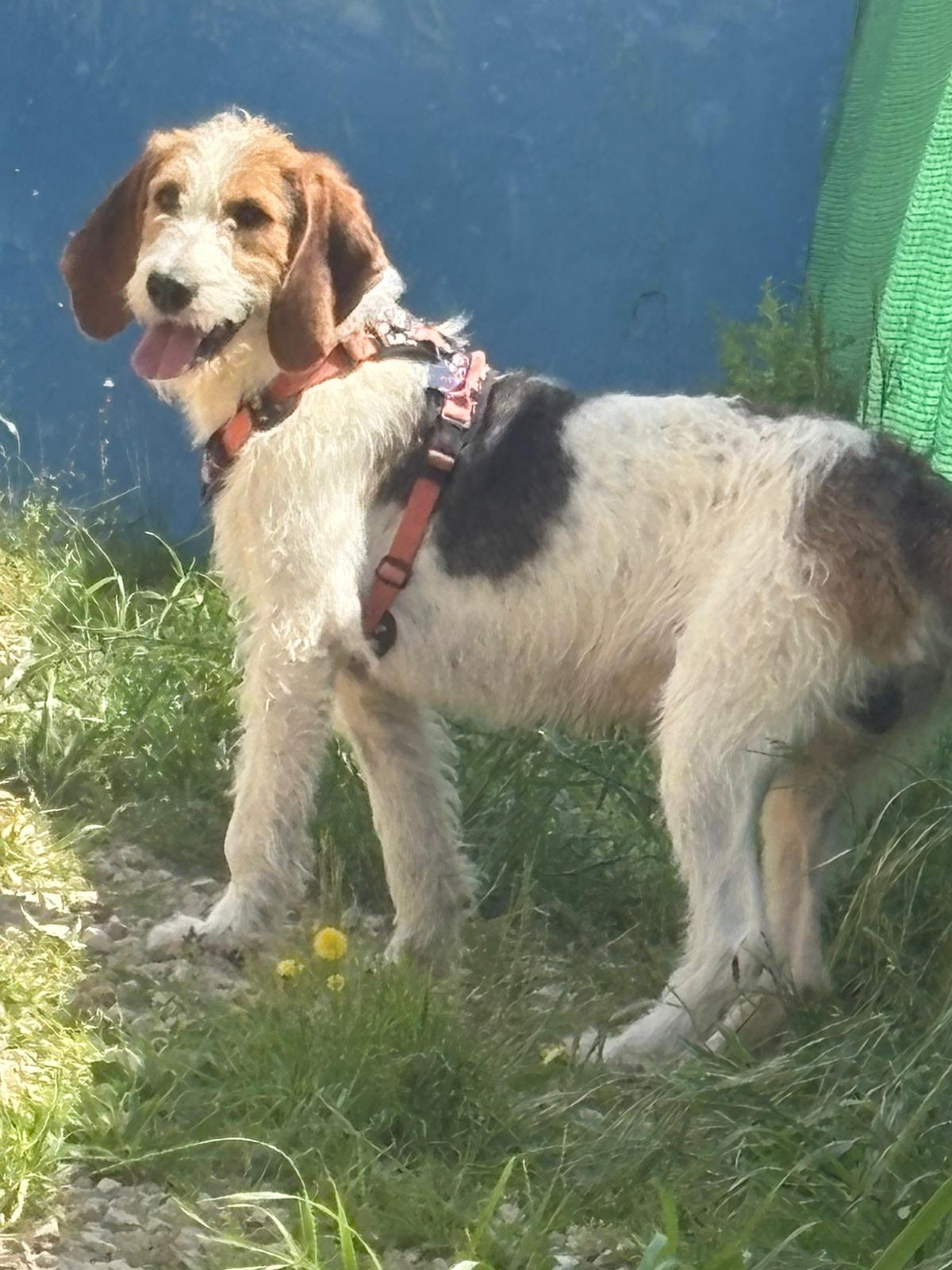 Whatsapp image 2025 05 05 at 13 40 35