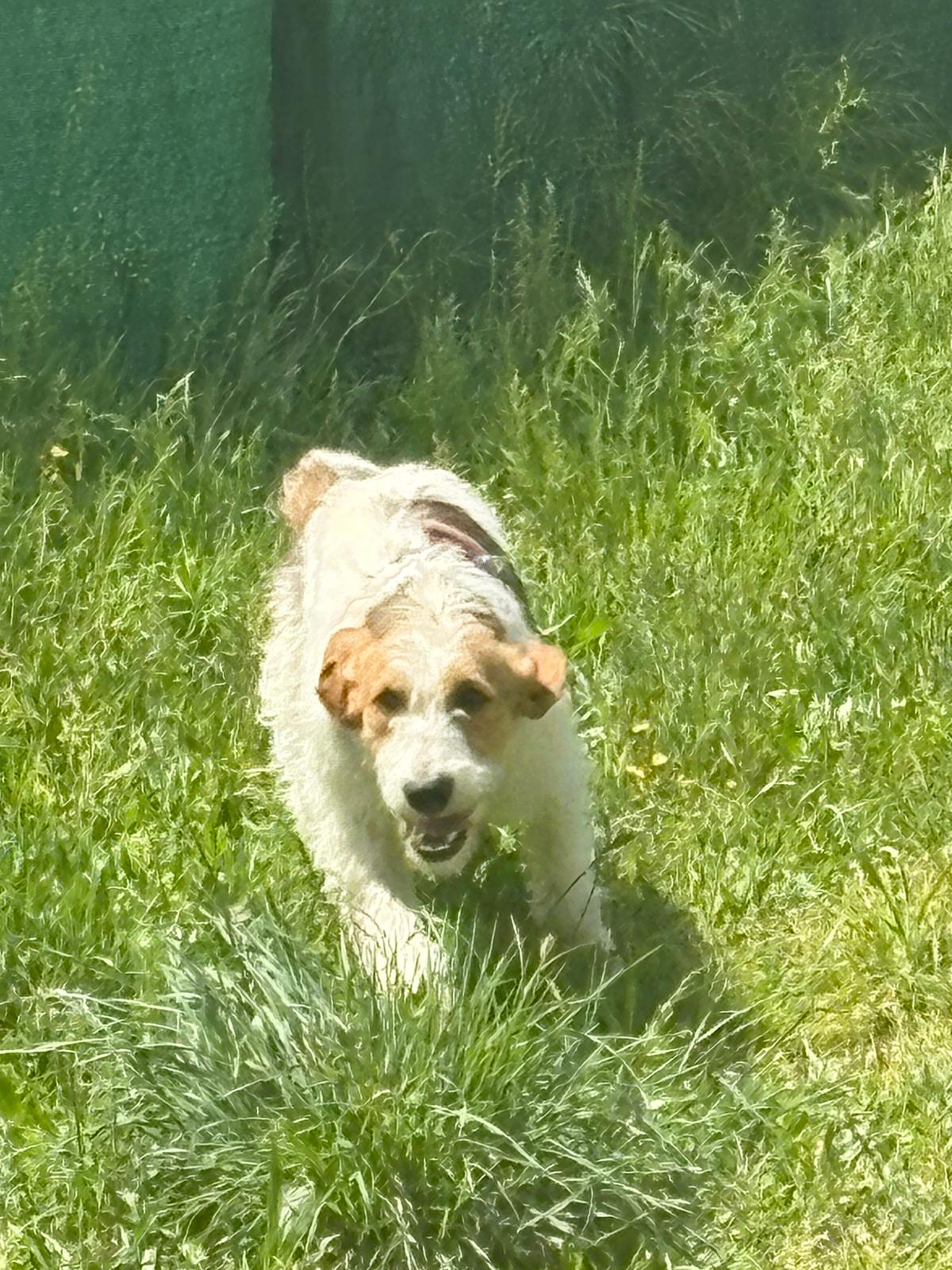 Whatsapp image 2025 05 05 at 13 40 34