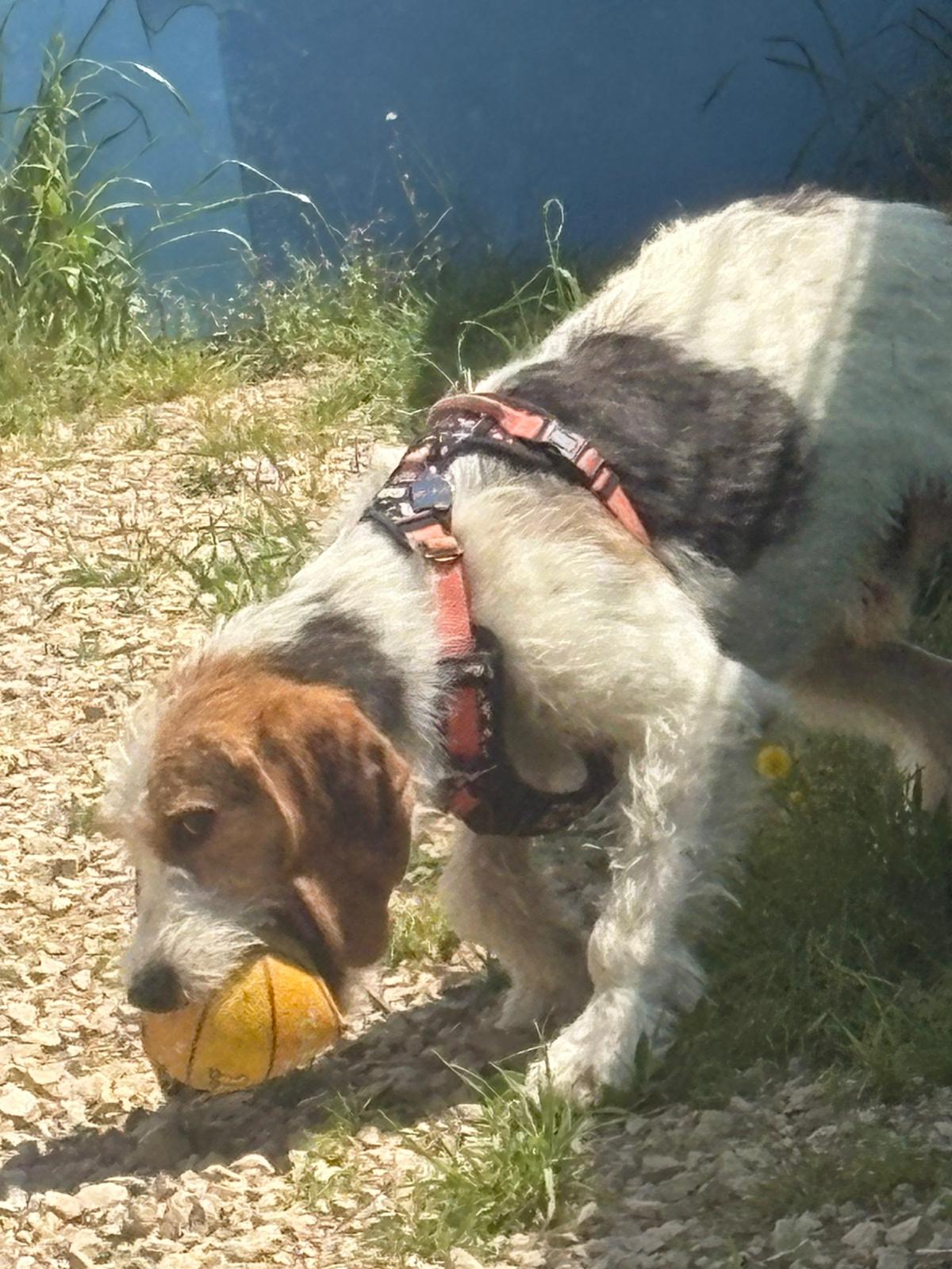 Whatsapp image 2025 05 05 at 13 40 34 1 