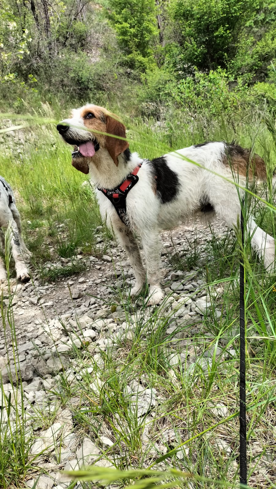 Whatsapp image 2025 05 04 at 19 38 47