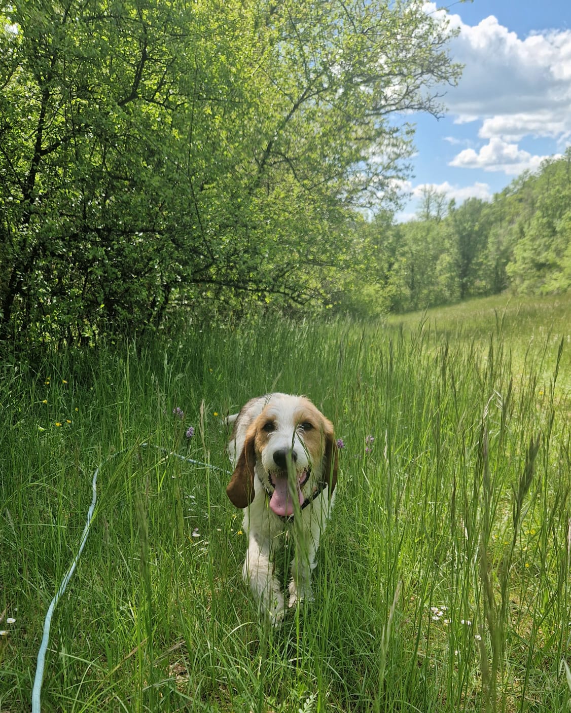 Whatsapp image 2025 04 29 at 17 13 59