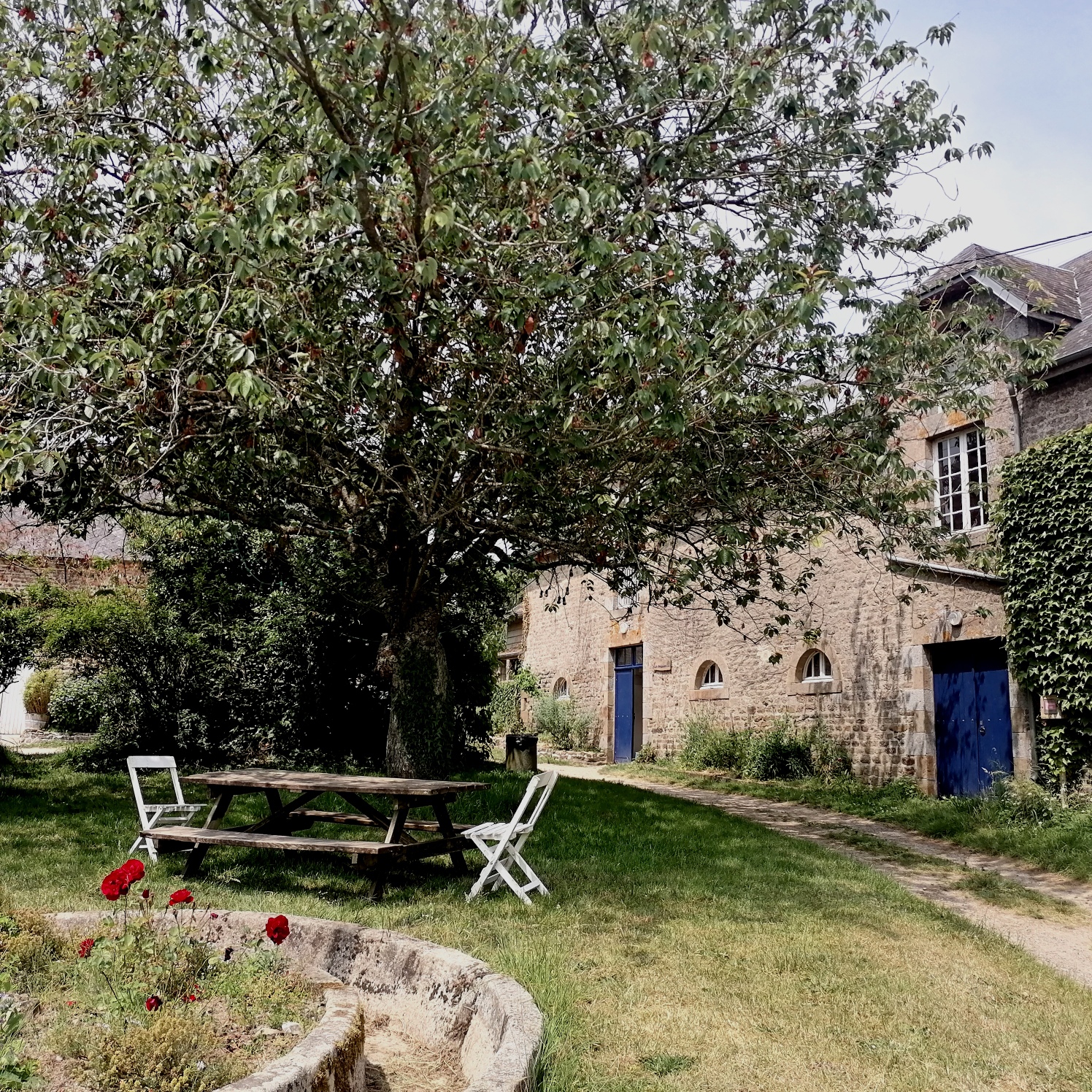 Img 20230617 231537 resized 20230627 022602930