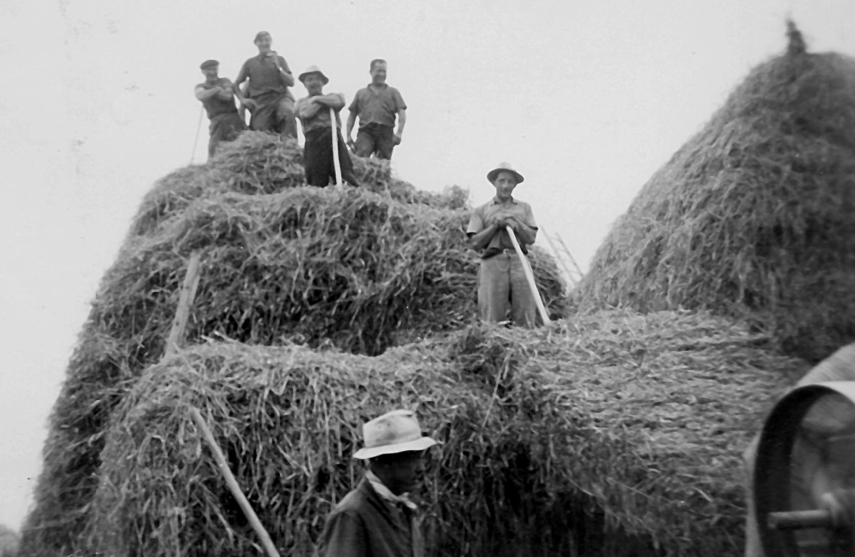 Agriculture3