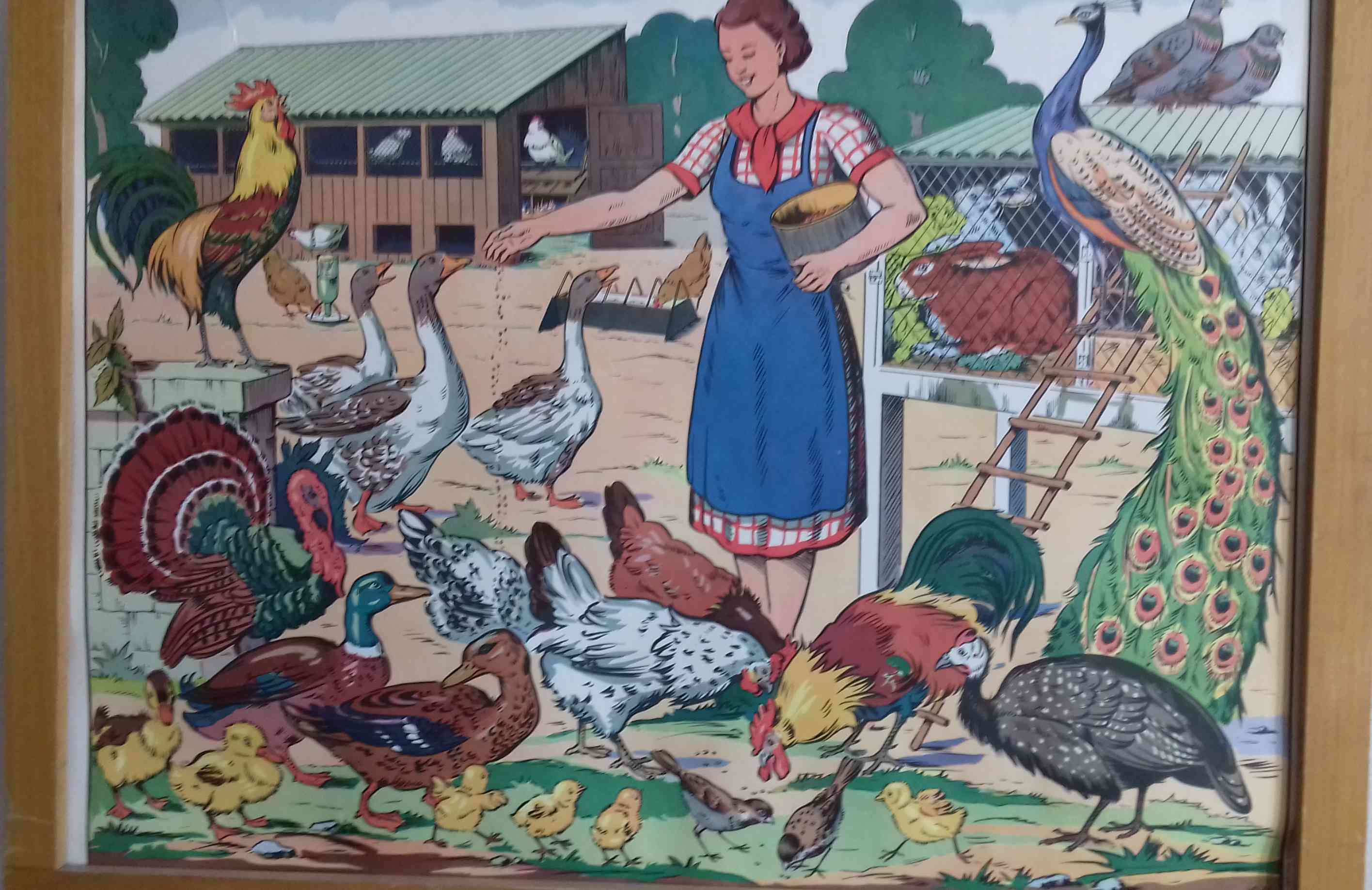 Leçon de vocabulaire à l'école primaire dans les années 1950