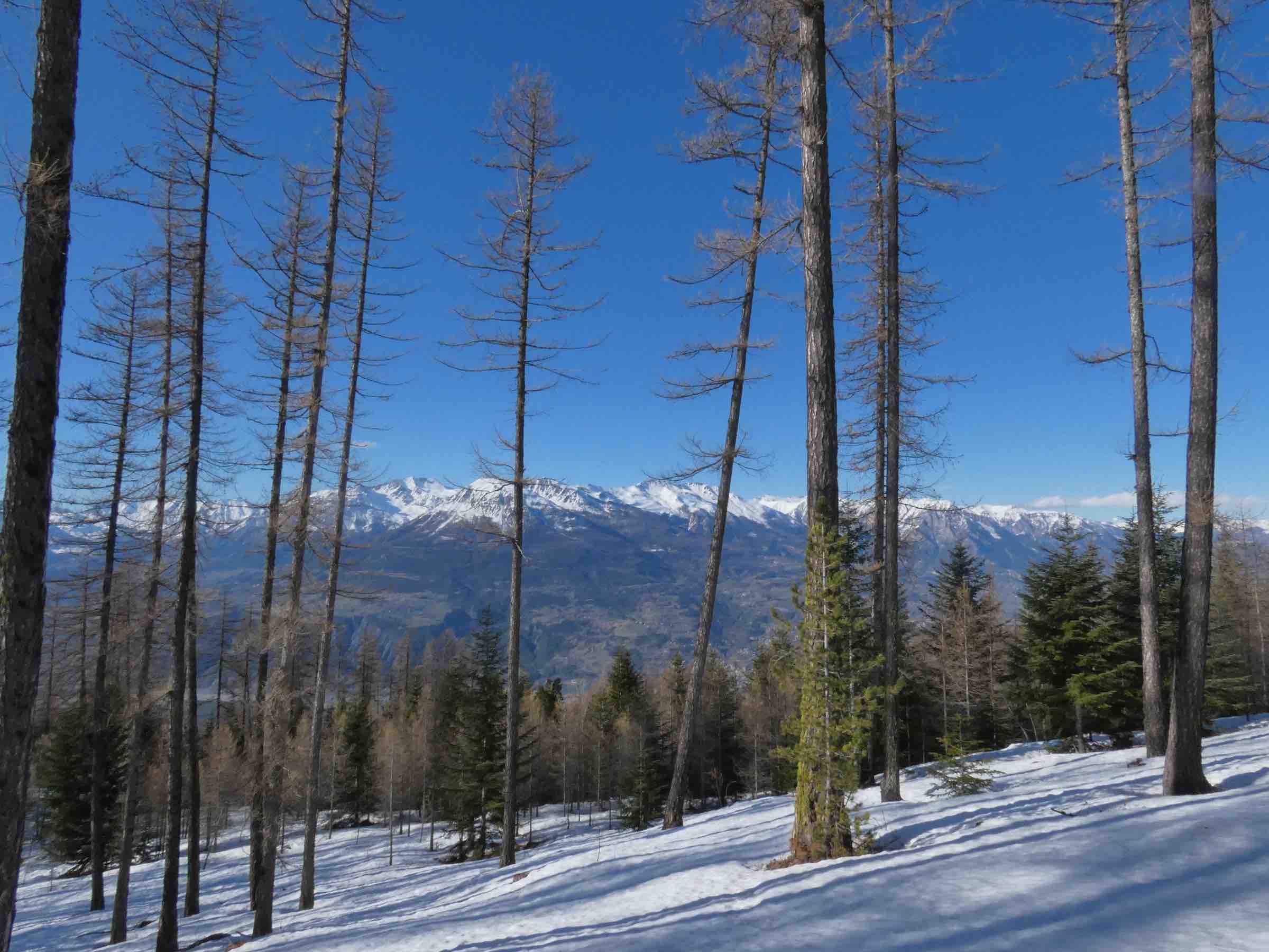 Vue sur les ecrins sud