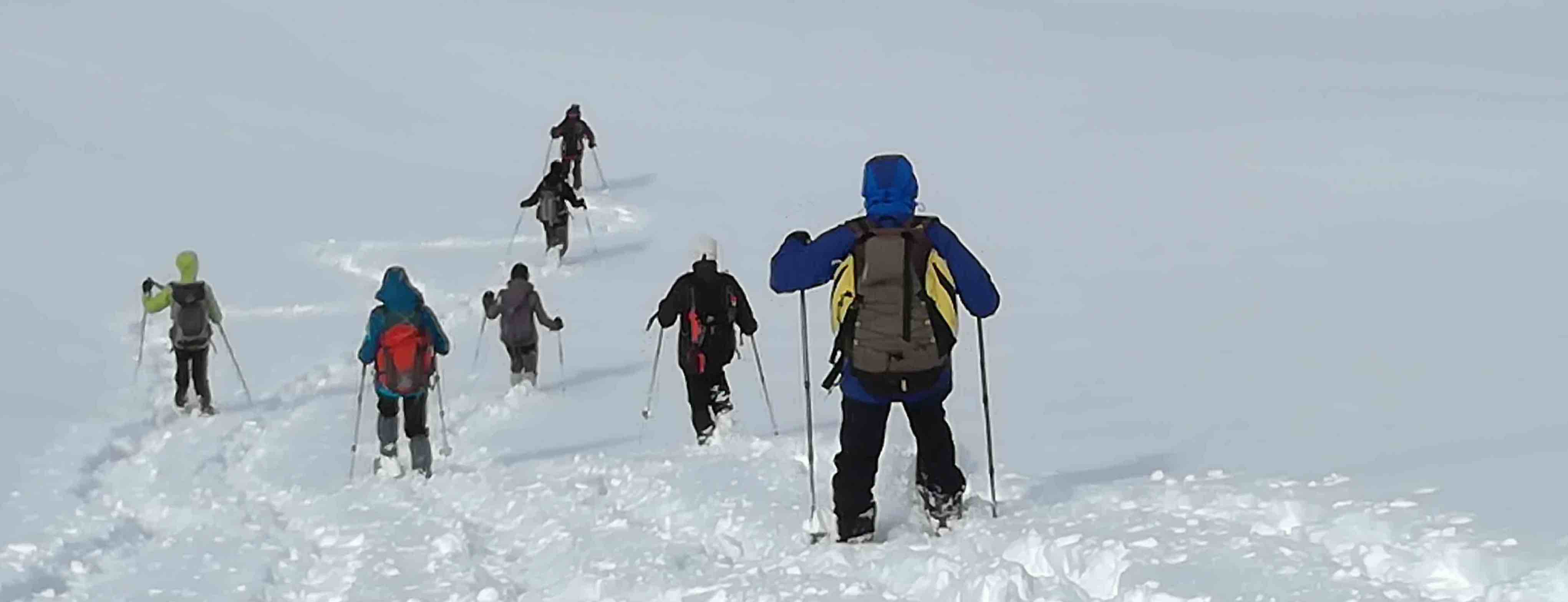 Descente libre 3