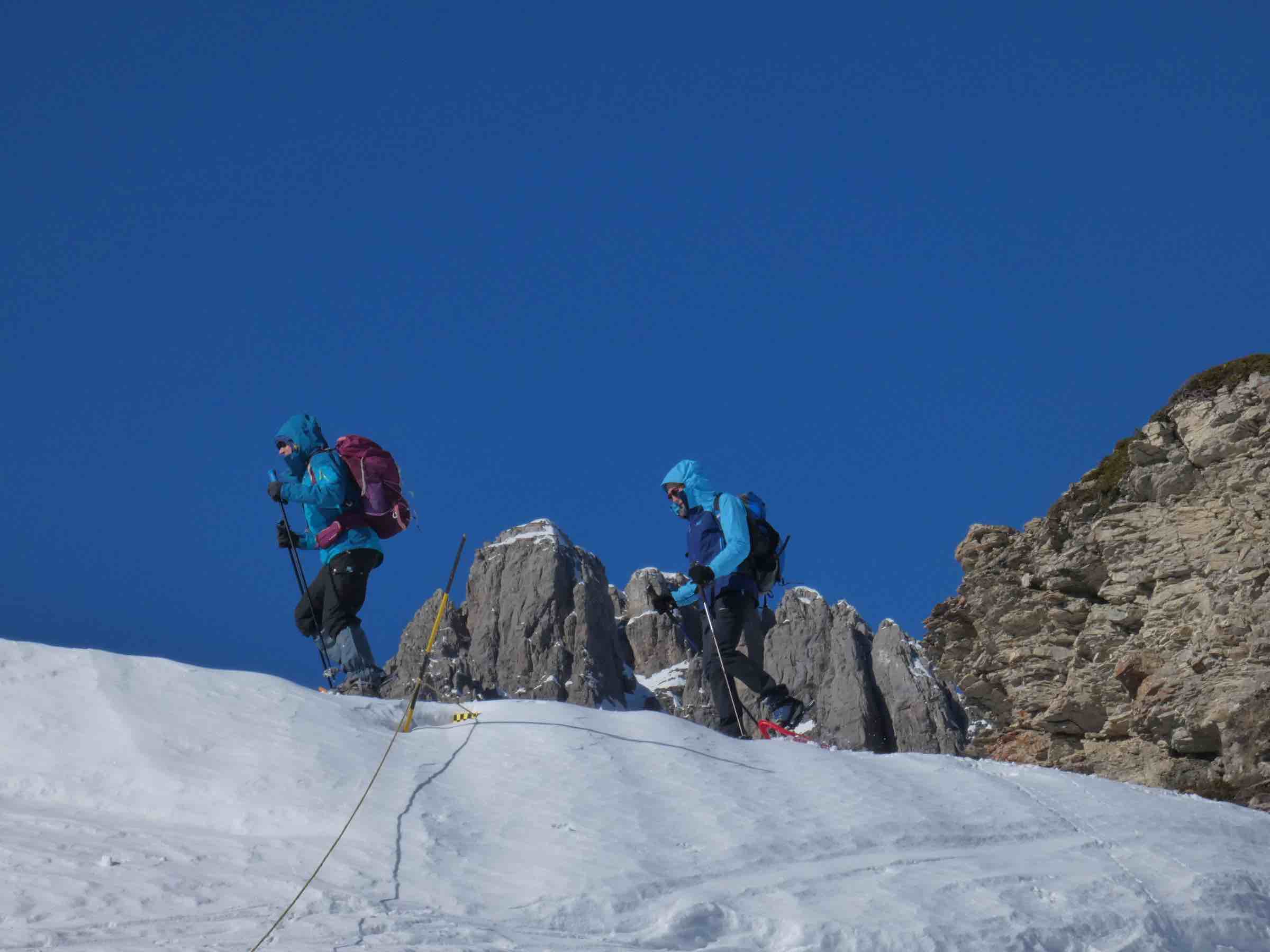 Reallon aiguille