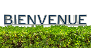 Bouton-mot-d-accueil