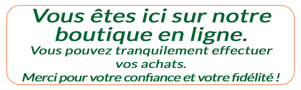 Boutique en ligne 1