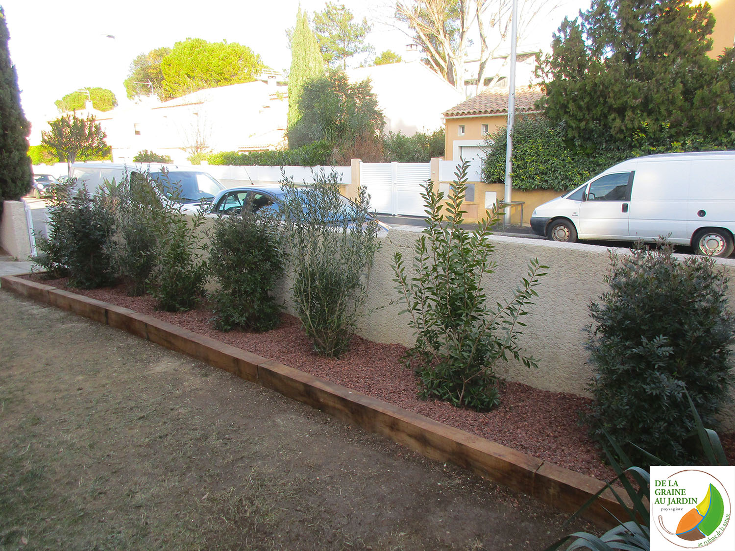 Apres plantation et paillage haie mediterraneenne